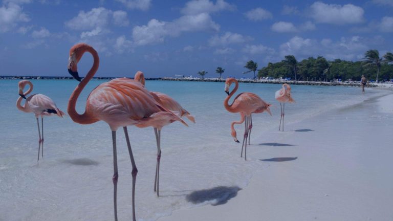 hero exotic holidays autumn in paradise I.jpg