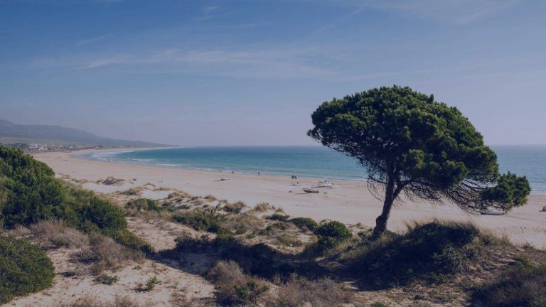 hero sunny coast of andalusia.jpg