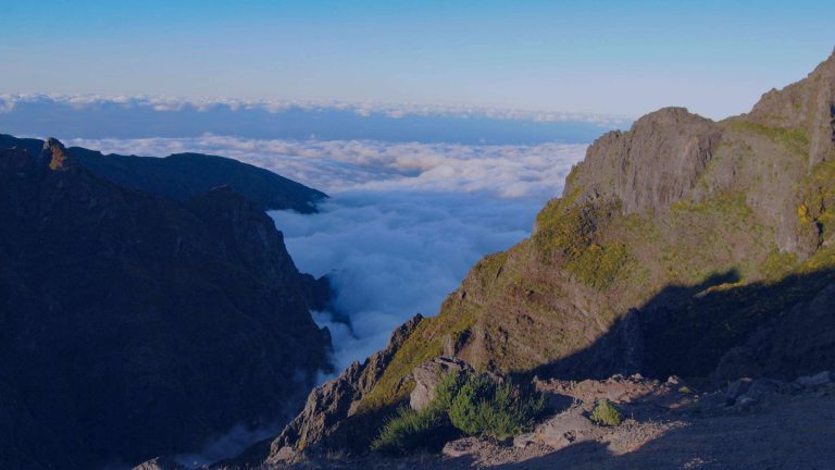 hero top5 trails on madeira.jpg